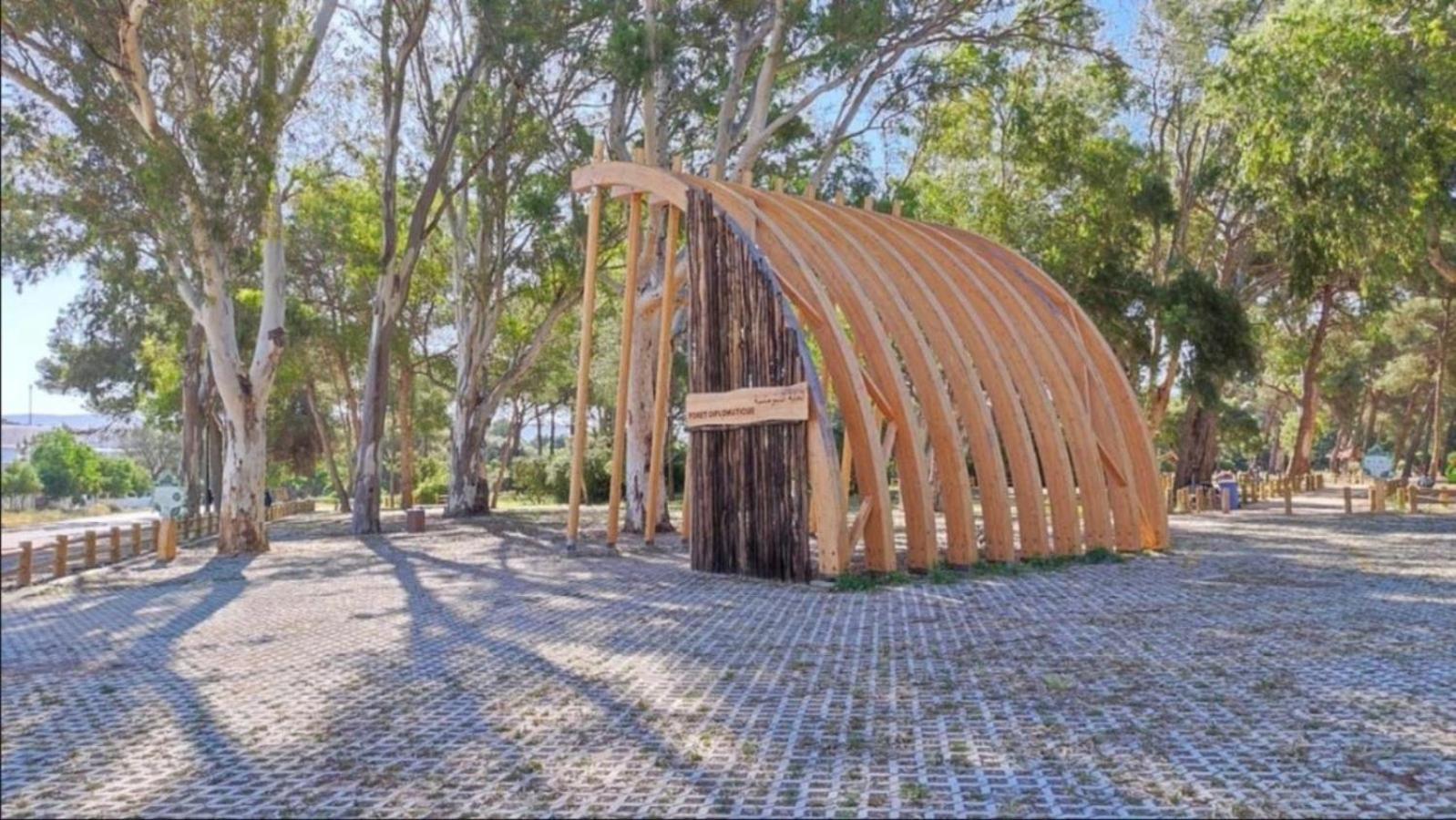 Charming, Peaceful House, Between Forest And Sea Tanger Extérieur photo